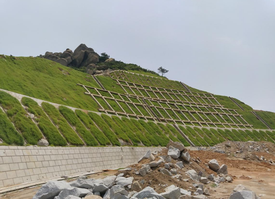 漳州半山片区项目边坡防护工程坡面绿化施工完成